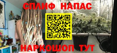 МДПВ Заводоуковск