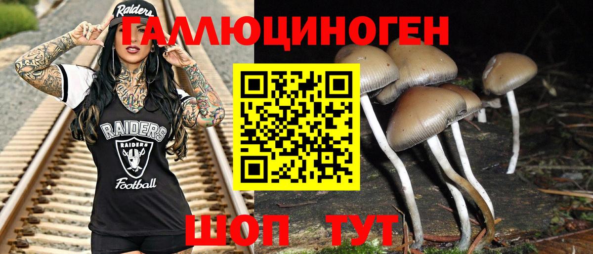Псилоцибиновые грибы Magic Shrooms Евпатория
