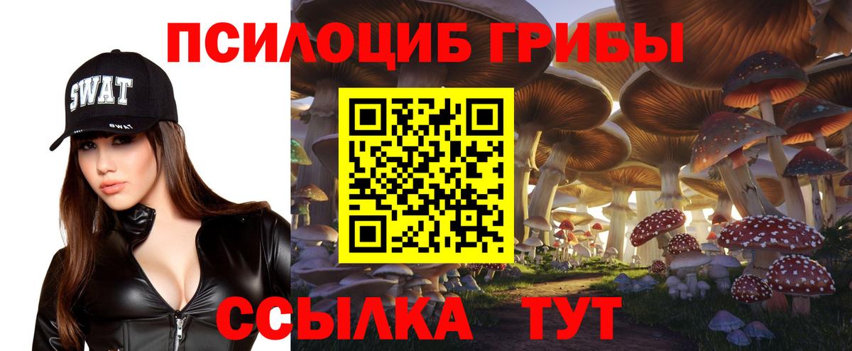 Евпатория  Псилоцибиновые грибы GOLDEN TEACHER  Вход с VPN 